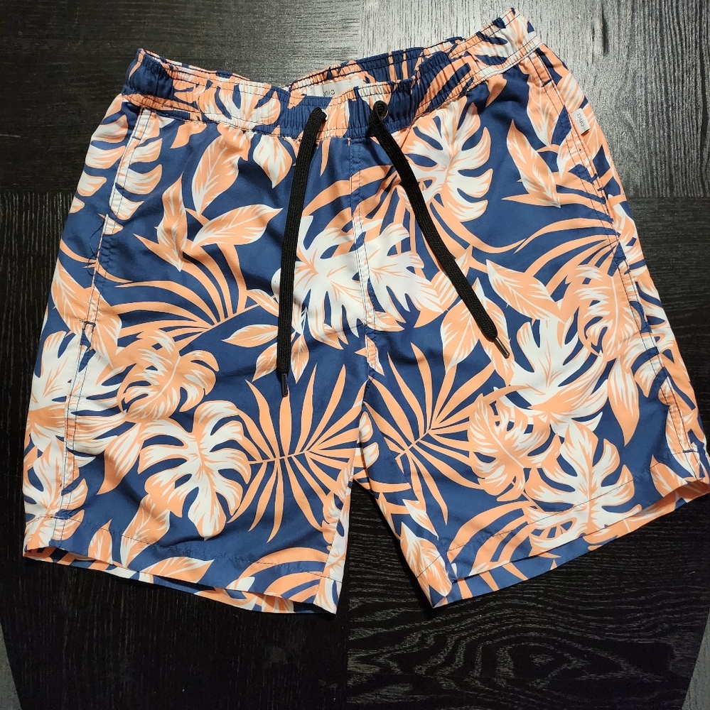 Onia Swim Trunks